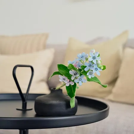 Apartment B 6 